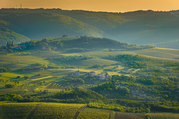 Croatia Istria region landscape. / Aerial view at green fields in Istria region, famous croatian travel places.