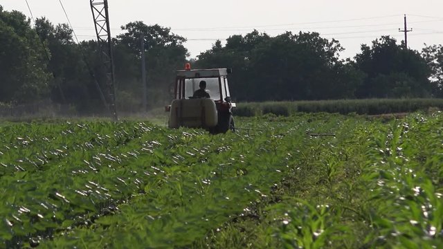 Agricultural tractor with crop sprayer attached spraying pesticides on sunflower plants in cultivated field
