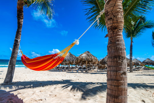 Empty Hammock Between Palms On Tropical Beach