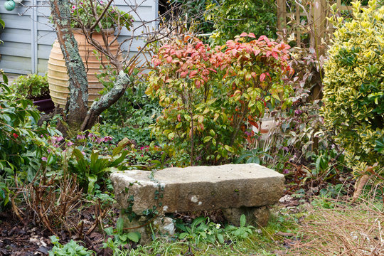 Banc en pierre dans jardin paysager