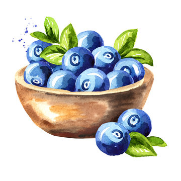 Bowl with ripe blueberry. Watercolor hand drawn illustration, isolated on white background