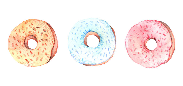 Hand drawn watercolor illustration. Set of sweet donuts. Sketch. Cute dessert