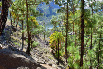 Soria scenery, Gran Canaria