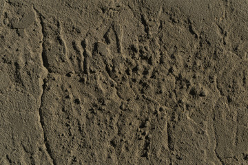 background, texture - brown clay wall with bumps and cracks