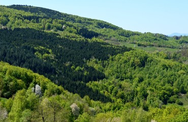 Fototapeta na wymiar landscape of the hill