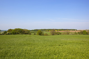 Yorkshire Wolds scenic countryside