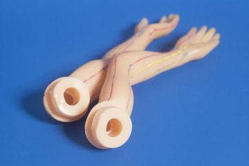 Medical acupuncture model of human hand