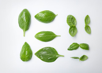 Fresh green basil leaves on white background, top view