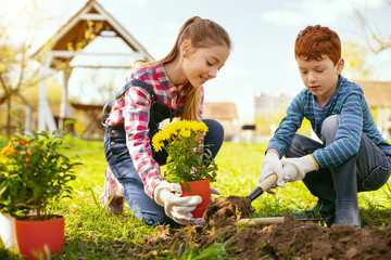 Family occupation. Cute positive girl holding a flower pot while helping her brother to plant them