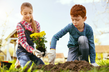 Beautiful garden. Serious nice boy digging a hole while planting flowers together with his sister