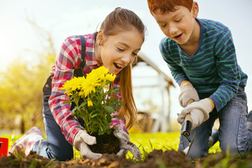 Young nature lovers. Nice positive girl holding flowers while planting them together with her friend