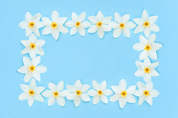 Naklejka na ściany i meble White daffodils on a pastel blue background.