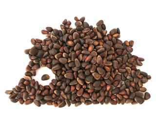 Hedgehog from a pine nut on a white background