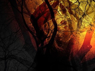 Dead trees with skull ghost shadow in yellow and red light - Concepts of Halloween, Friday the 13th, mystery. Dark area on the bottom-left corner is for adding text (copy space).