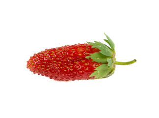 strawberry on white background