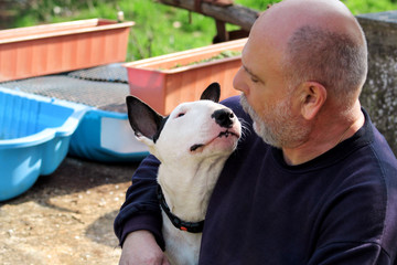 Man with dog. English Bull Terrier white dog in company with his owner sitting and enjoying in the...