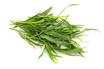 Tarragon (Artemisia dracunculus) Isolated on white background