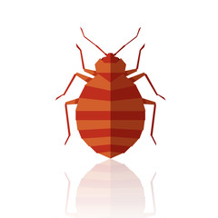 Flat geometric bedbug
