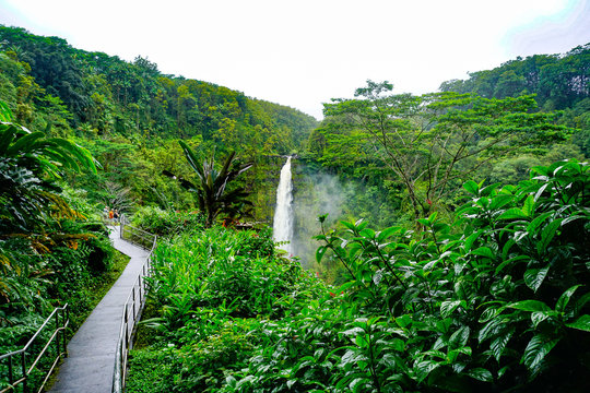 Akaka Falls