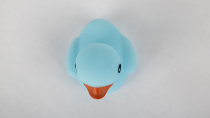 A blue rubber duck on an isolated white background 