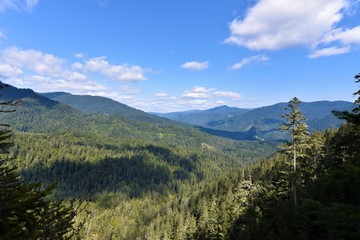 Oregon nature