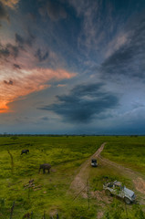 Fototapeta premium kuri beel camp, manas national park