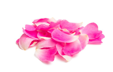 Obraz na płótnie Canvas rose petals isolated