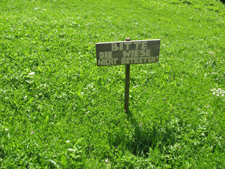 Alm Bienenwiese Natur Wiese Weide nicht betreten