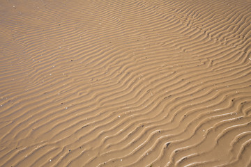 Fototapeta na wymiar view of the sand dunes