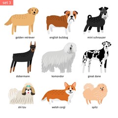 Dog breeds. Vectors dogs breeding collection isolated on white background, great dane and komondor