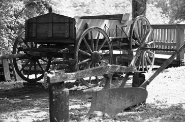 B/W cart and tiller