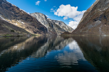 Naklejka premium Reflex II