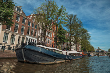 Boat moored at side of tree-lined canal, bridge, old buildings and sunny blue sky in Amsterdam. The city is famous for its huge cultural activity, graceful canals and bridges. Northern Netherlands.