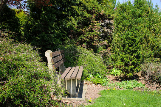 Rustic bench on the park