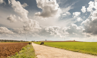 Campos de Castilla