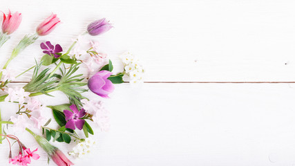 Festive spring pink and purple flowers pulsatilla composition on white wooden background. Overhead top view, flat lay. Copy space. Birthday, Mother's, Valentines, Women's, Wedding Day concept