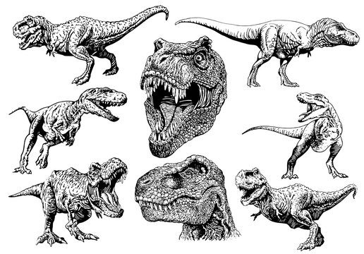 Graphical set of tyrranosauruses isolated on white,vector illustration for tattoo anf printing