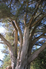 mer bretagne golfe du morbihan