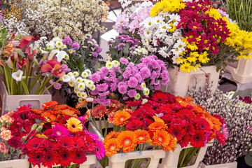 Various spring flowers in the street market