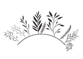 branch with leafs decorative icon vector illustration design