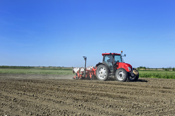 Tractor sows corn