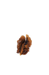 A dried walnut kernel on a white background. View from above.