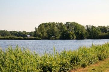 Der See / ein naturbelassener Bereich