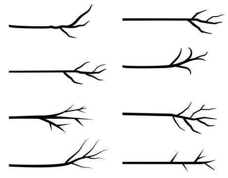 Black vector tree branch silhouettes without leaves for graphic design, bare twigs for backgrounds and greeting cards