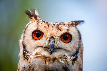 What you looking at