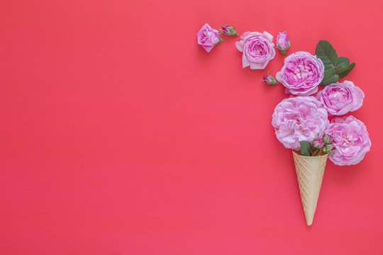 Waffle cone with pink roses flower bouquet on pink background