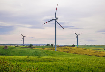 Puglia (Italy) - Wind farm with wind turbines and expanses of wheat
