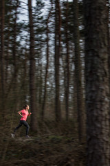 Obraz premium Young woman running outdoors in a forest, going fast (motion blurred image)