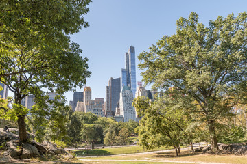 City from Central Park