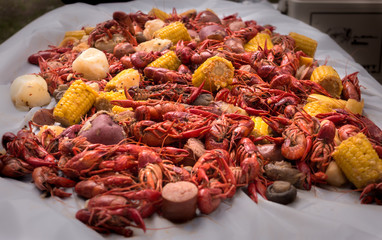 Memorial Park Picnic - Cajun Style